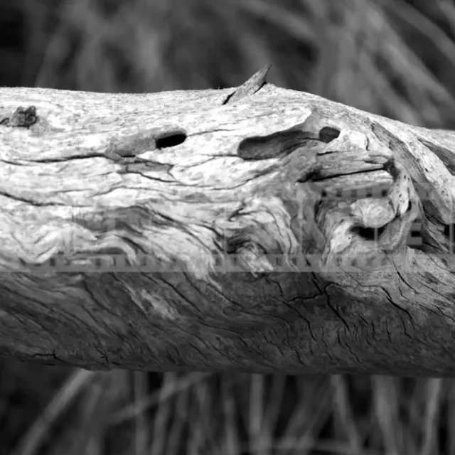 FPImages scenic photo galleries