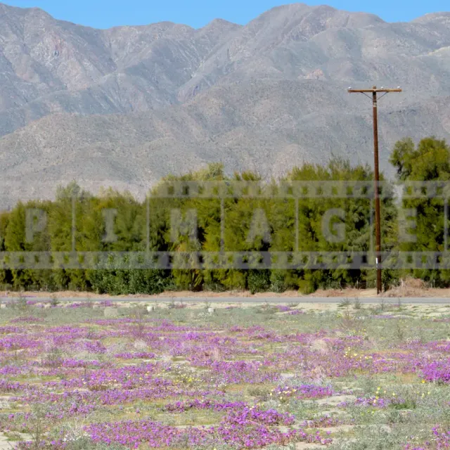 FPImages scenic photo galleries