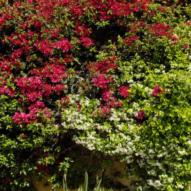 FPImages scenic photo galleries