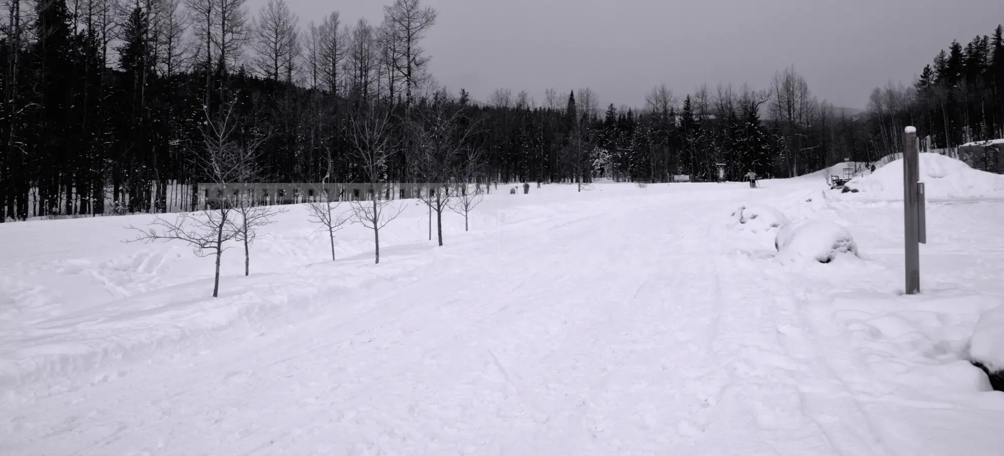 snow covered multi-use trail at Bragg Creek, Alberta