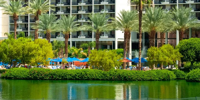 Bright Blue Umbrellas and Tall Palm Trees, beautiful grounds at JW Marriott