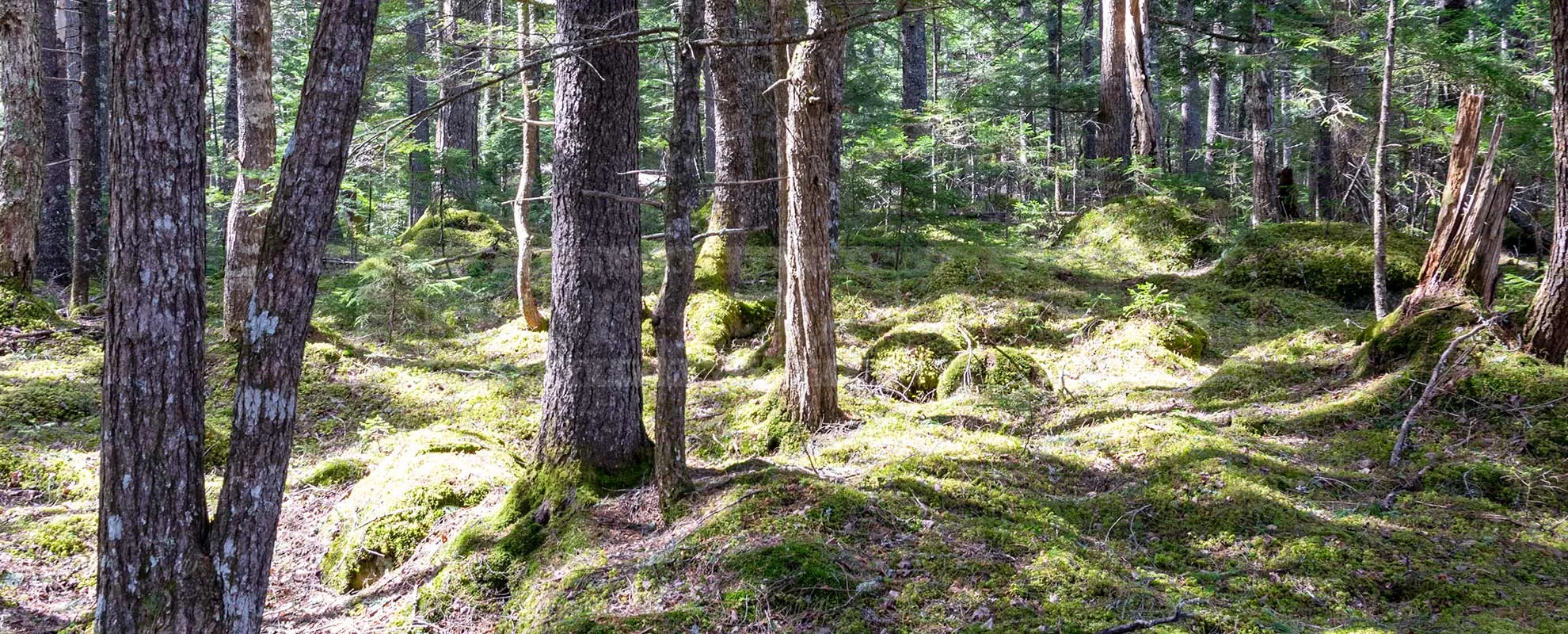 FPImages scenic photo galleries