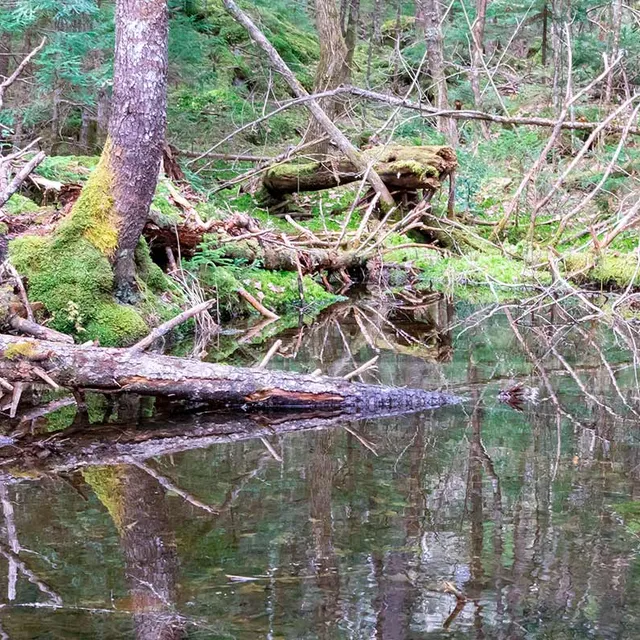 FPImages scenic photo galleries