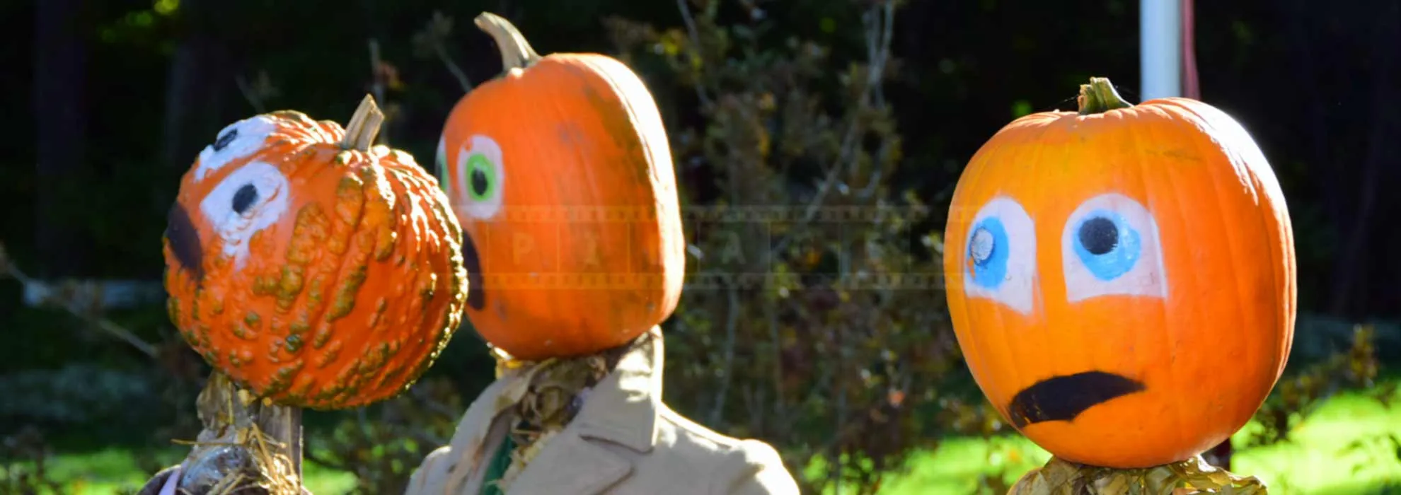 FPImages scenic photo galleries