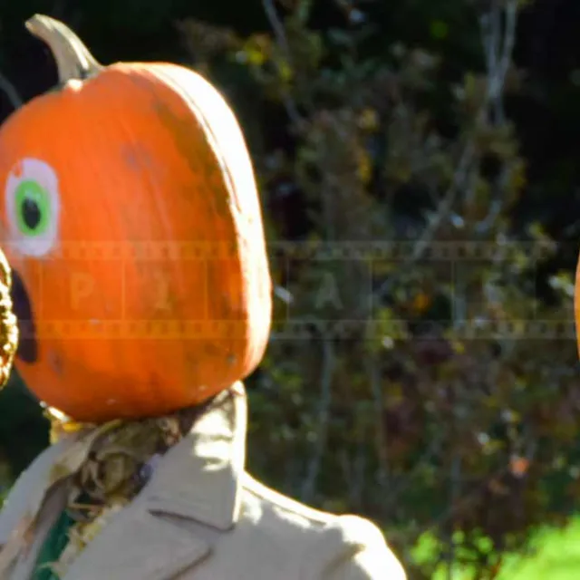 FPImages scenic photo galleries