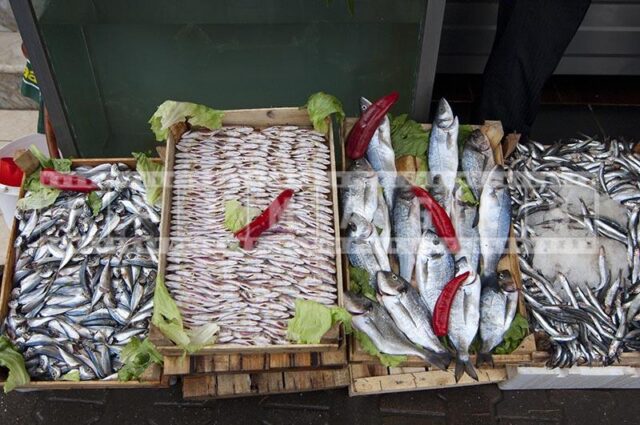 Fresh fish at the fish market, wild non-farmed