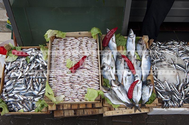 Fresh fish at the fish market, wild non-farmed