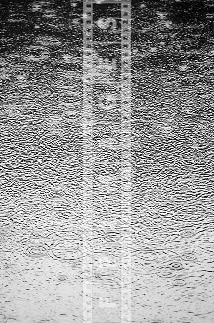 Raindrops making circular ripples