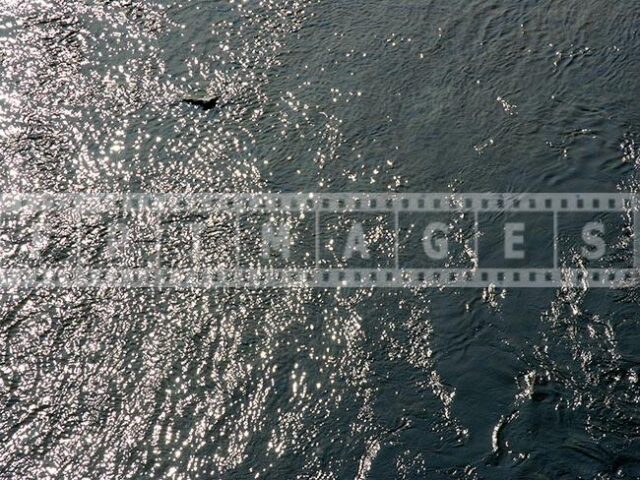 River Flow Reflecting Light