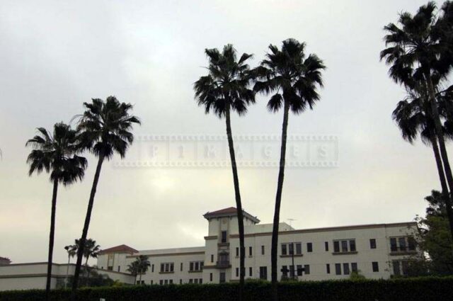 White Building Highlighting Tall Palms