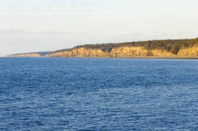 Bay of Fundy shores