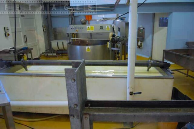 Cheddar cheese production