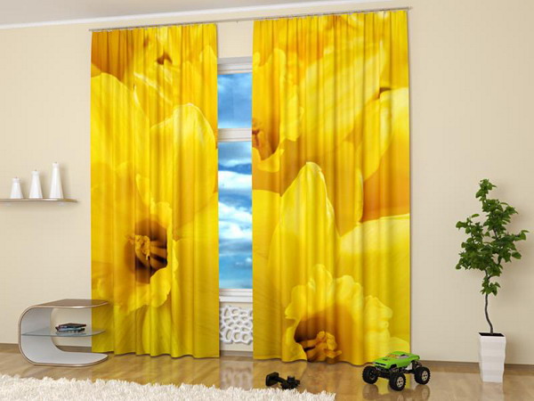 Yellow colors of pictures flowers used in home decor