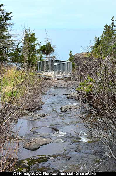 Stream just before the waterfall, Delaps Cove, free image