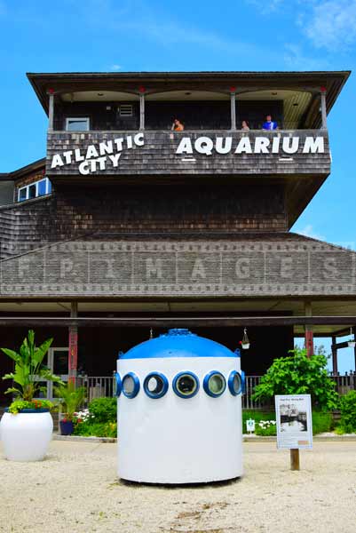aquarium building and diving bell