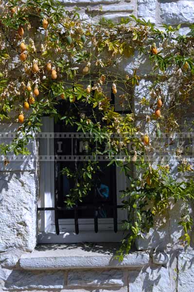 pictures of buildings european windows decoration, france