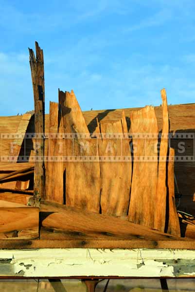 abstract images Twentynine Palms