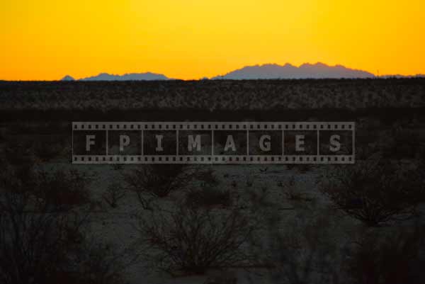 sunrise in Mojave desert, nature landscape photography