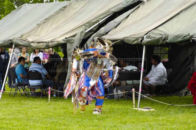 Fancy dance head male dancer