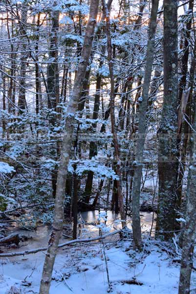 winter hiking trails nature photography