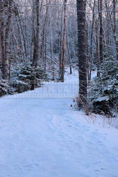 winter hiking trails nature photography