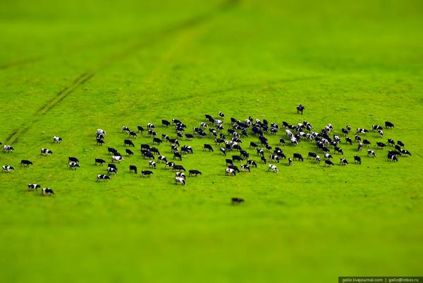 nature photography, russian landscapes