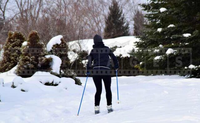 Cross country skier on a trail