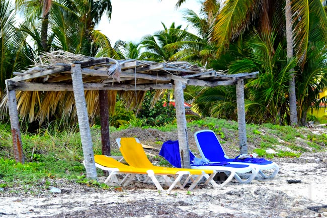 Beach chairs under palapa