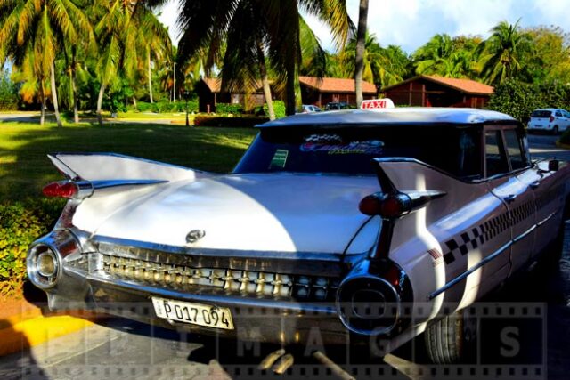 Cadillac Eldorado 1959 tail fins and lights