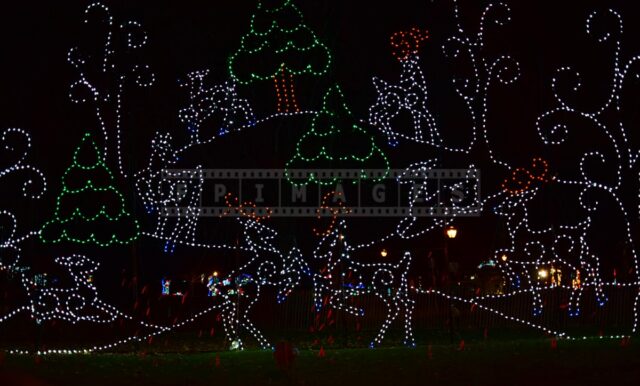 Reindeer xmas lights
