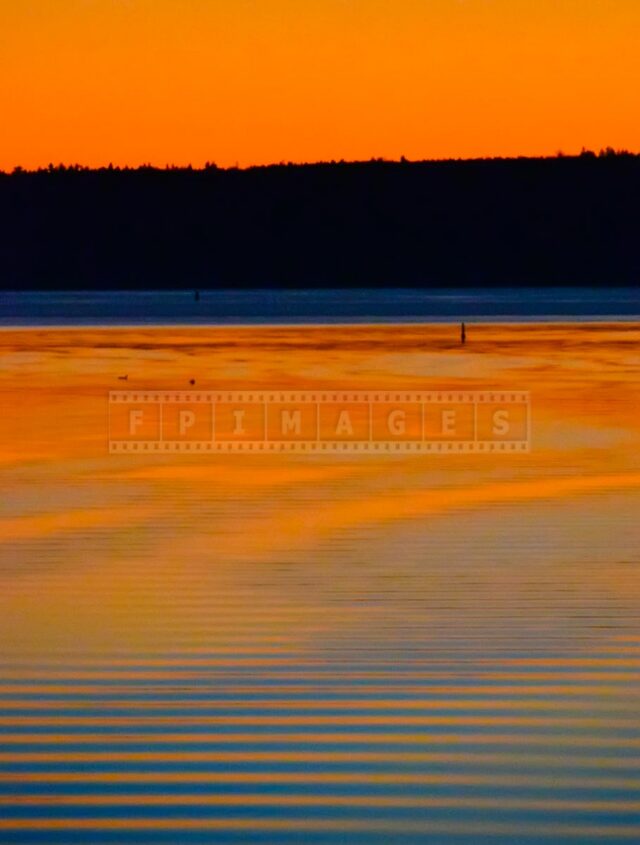 Saint Andrews harbour and winter sunset