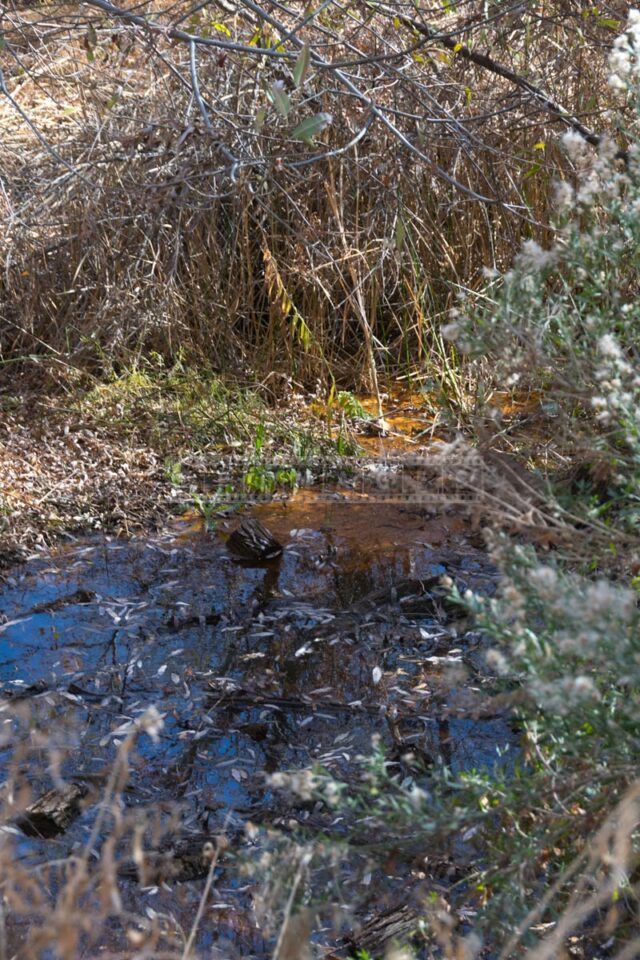 Water feature in the canyon