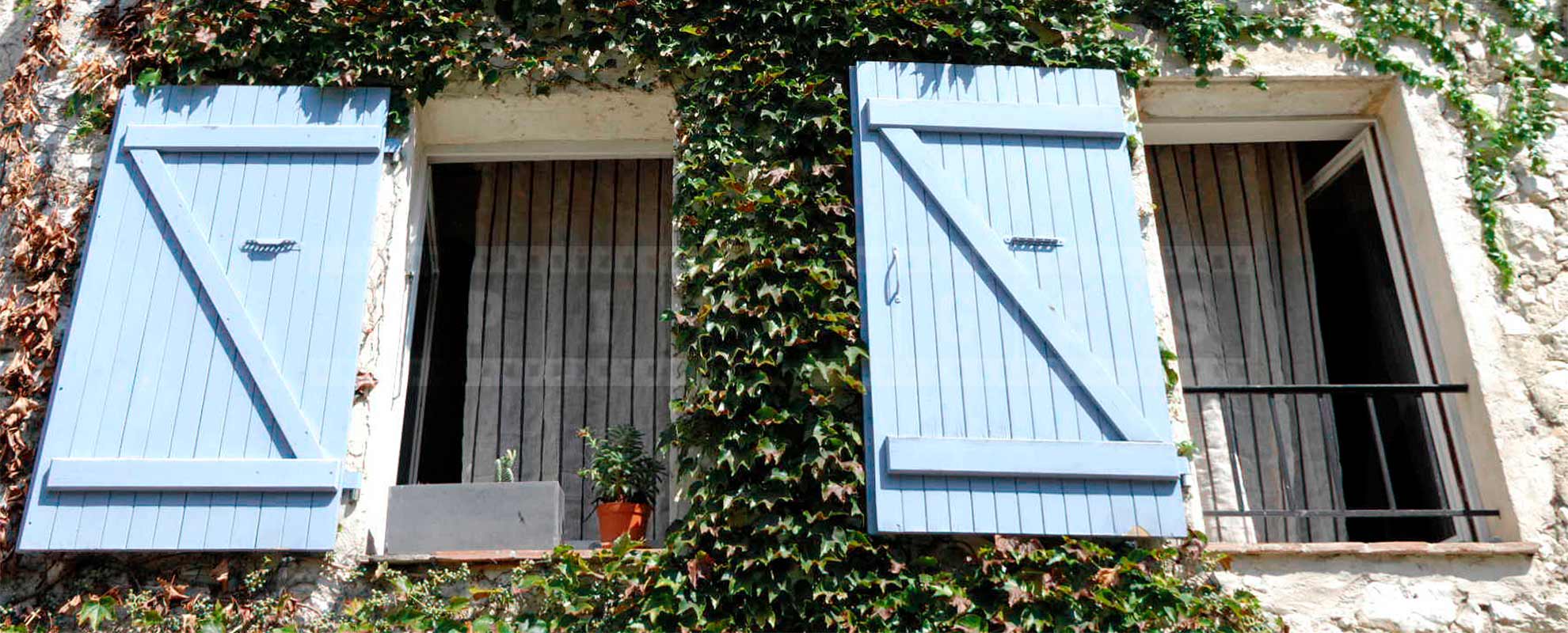 French style windows with blue shutters and green vine