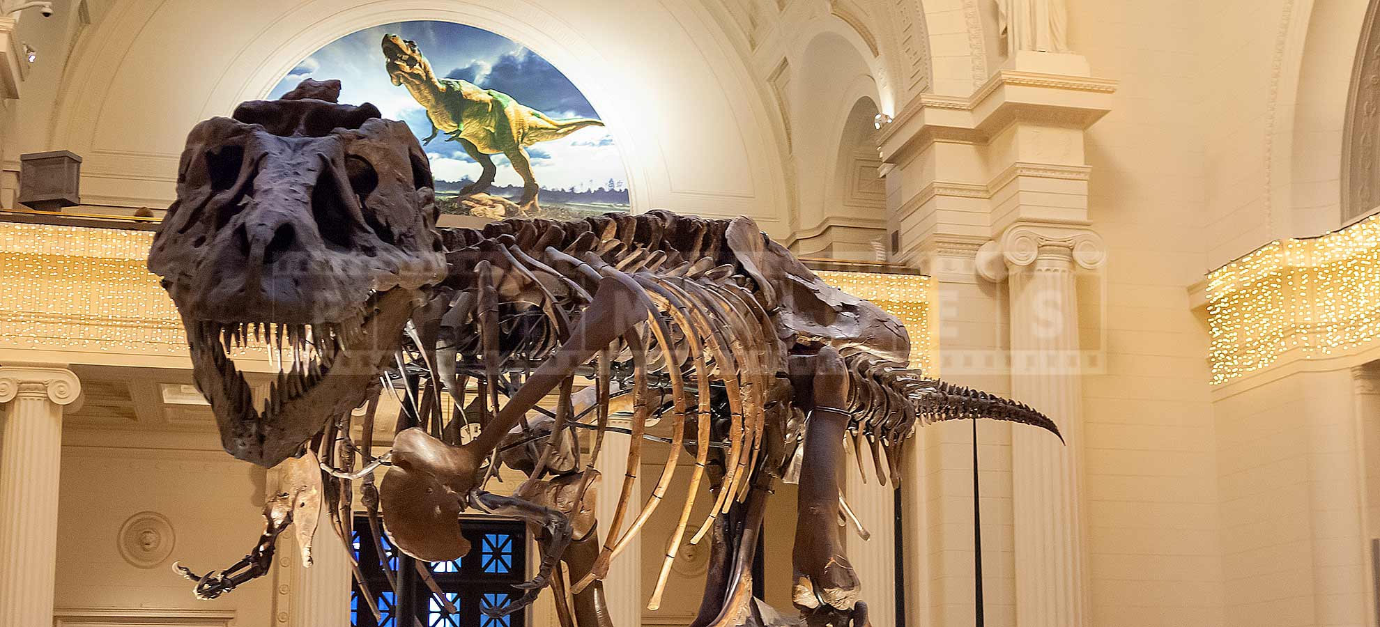 T-Rex Sue skeleton in Chicago Field Museum