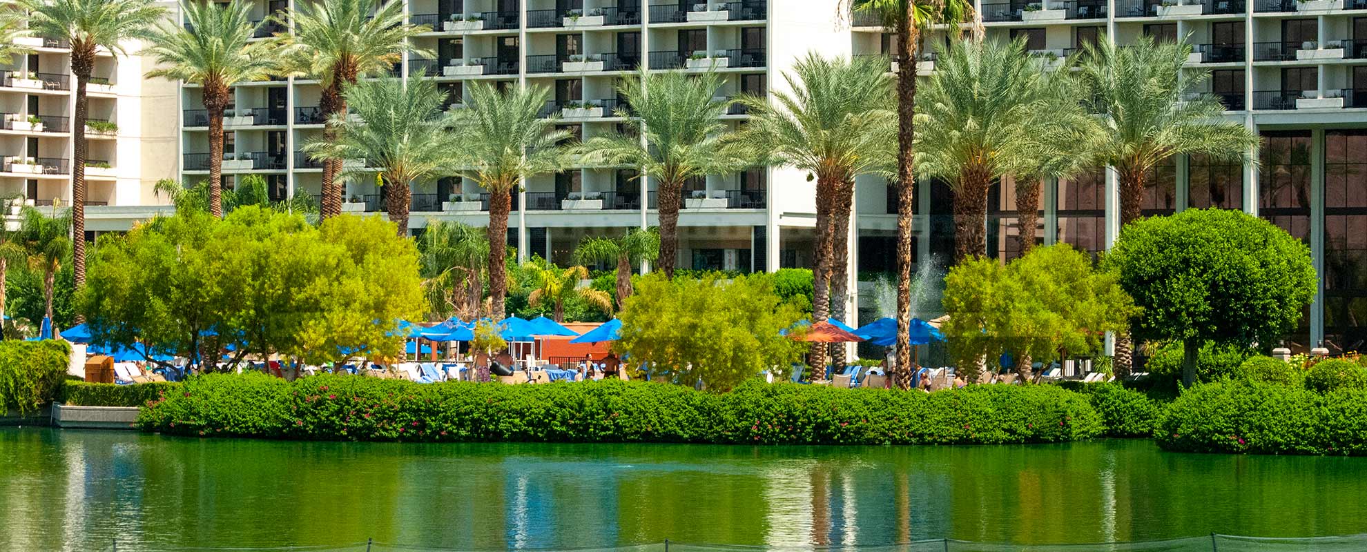 Bright Blue Umbrellas and Tall Palm Trees, beautiful grounds at JW Marriott