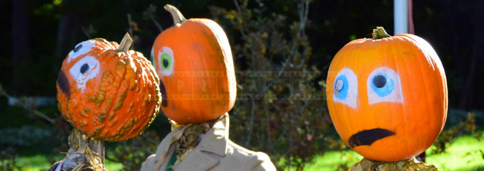 Pumpkin people made with straw on a lawn in Kentville