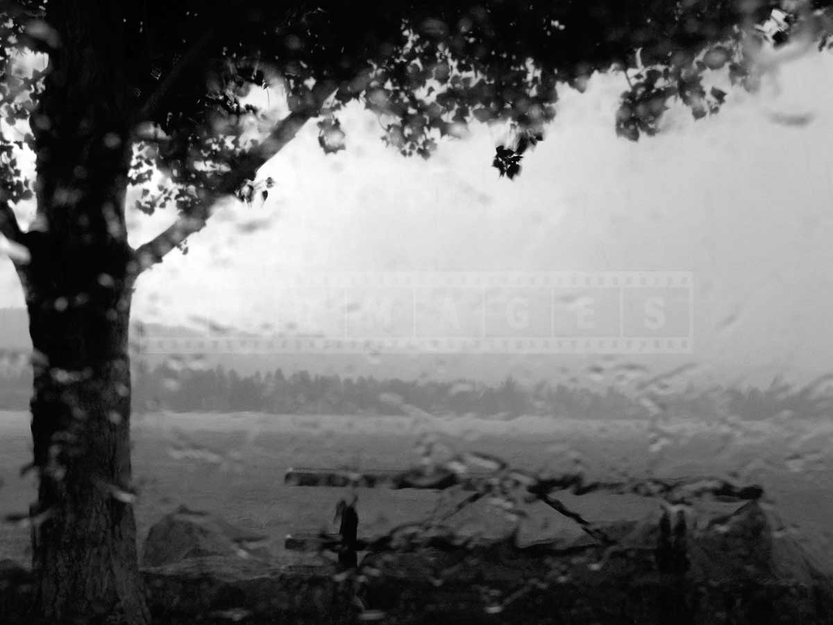 NFT water element #2