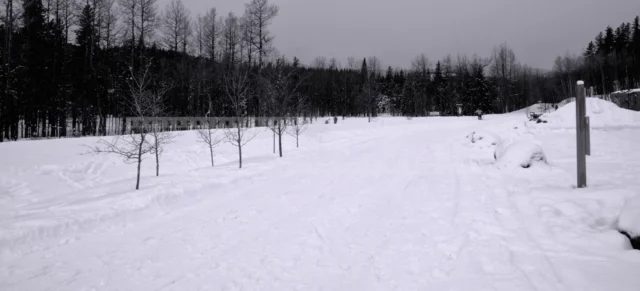 snow covered multi-use trail at Bragg Creek, Alberta