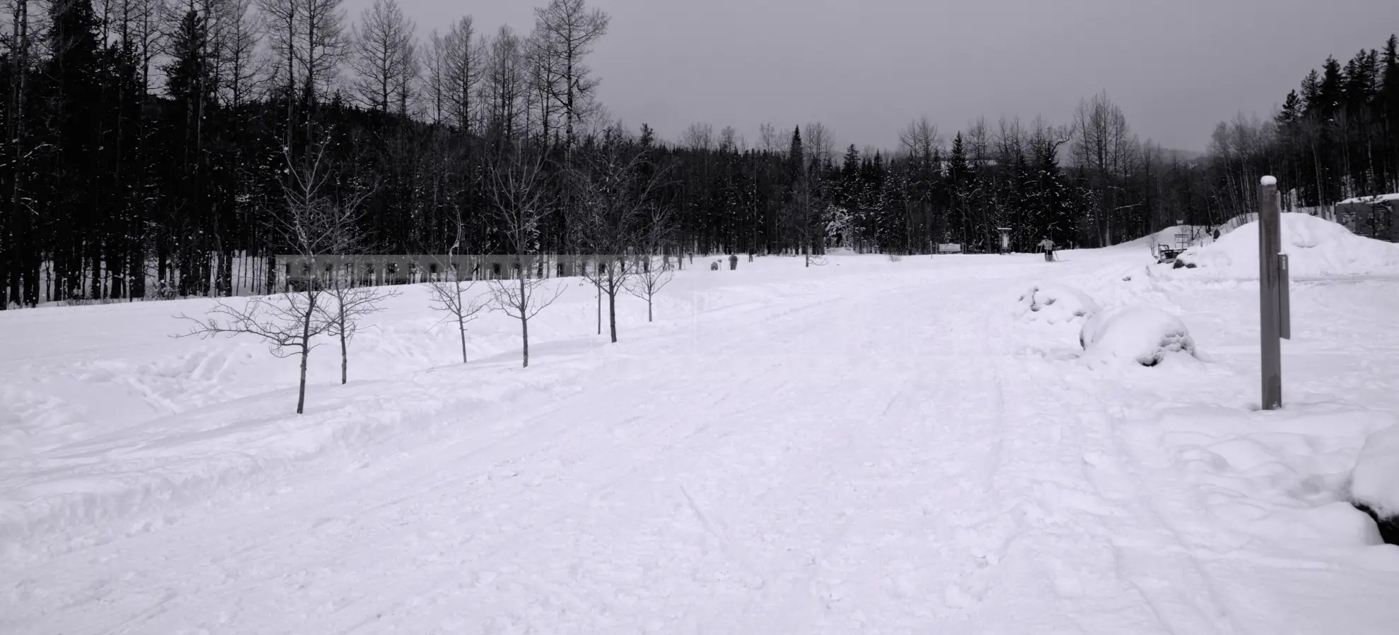 snow covered multi-use trail at Bragg Creek, Alberta
