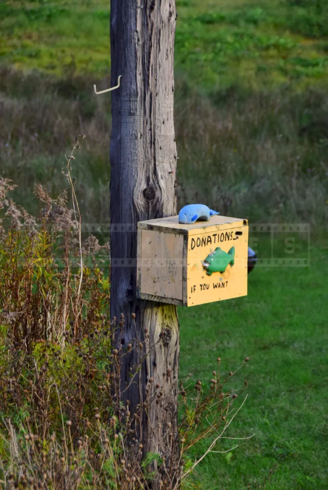 Yellow donations box with blue and green fish decor.