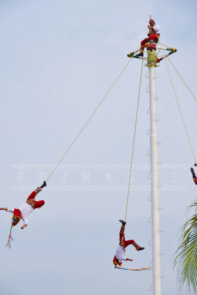 four men doing one of the most ancient dances in Mexico - suspended from 90-foot pole, upside-down and spinning.