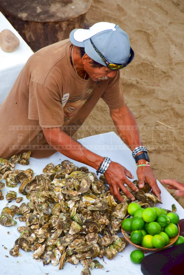 fisherman counting oysters at the table