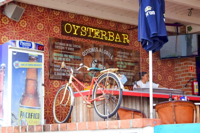 Local seafront Oyster Bar in Puerto Vallarta offering live in-shell oyster, catch of the day and Pacifico beer
