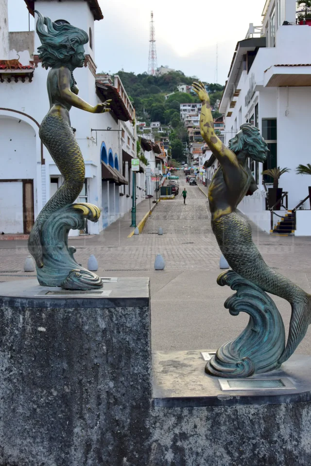 Mermaid and view of the city