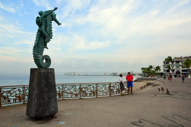 seahorse rider at the Malecon in Puerto Vallarta